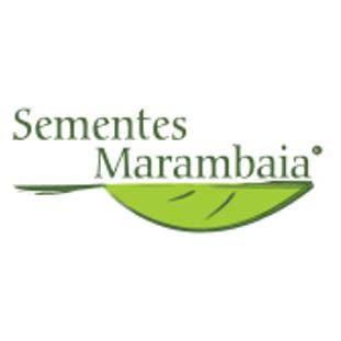 Sementes Marambaia