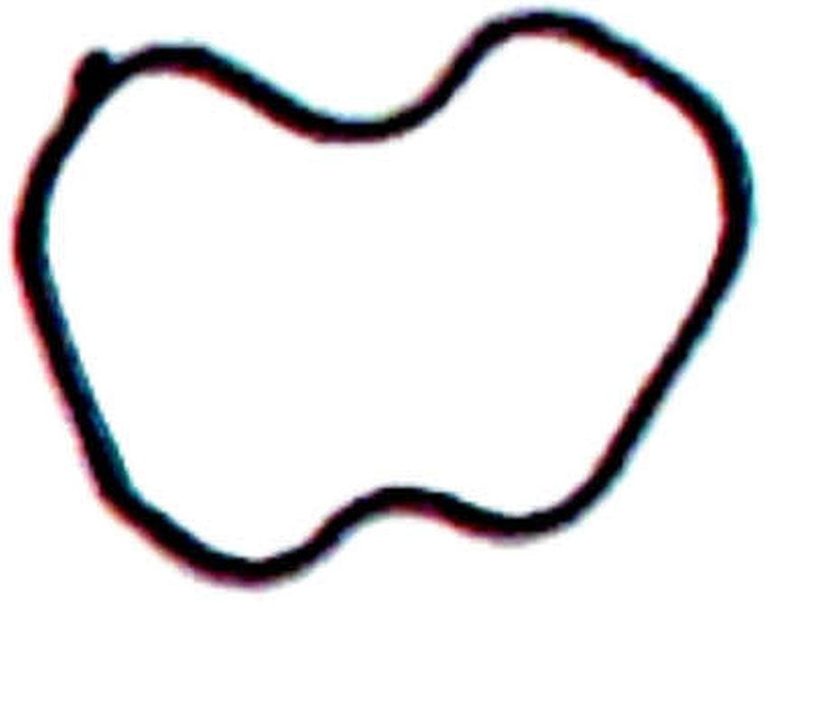 Anel do Termostato - Bastos Juntas - 1242873 - Unitário