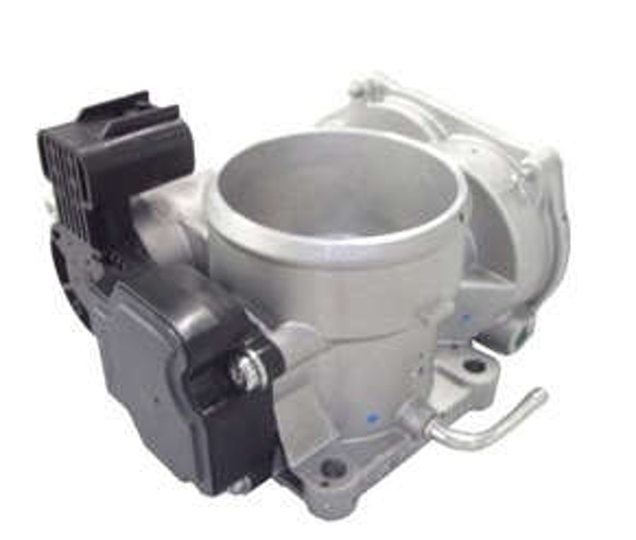 Corpo da Borboleta - Delphi - TB10045 - Unitário