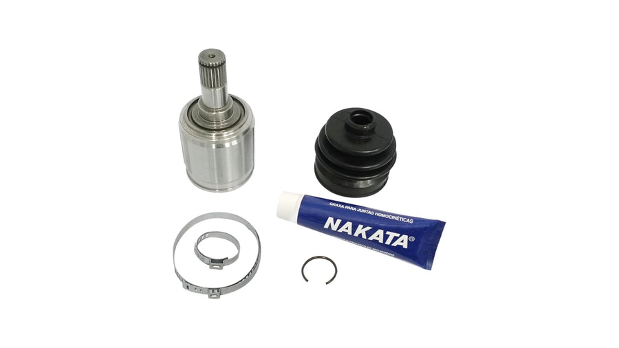 Tulipa - Nakata - NJH18-228D - Unitário