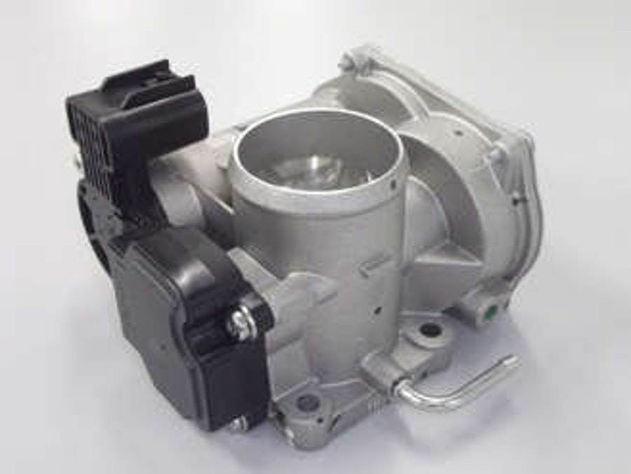 Corpo da Borboleta - Delphi - TB10044 - Unitário