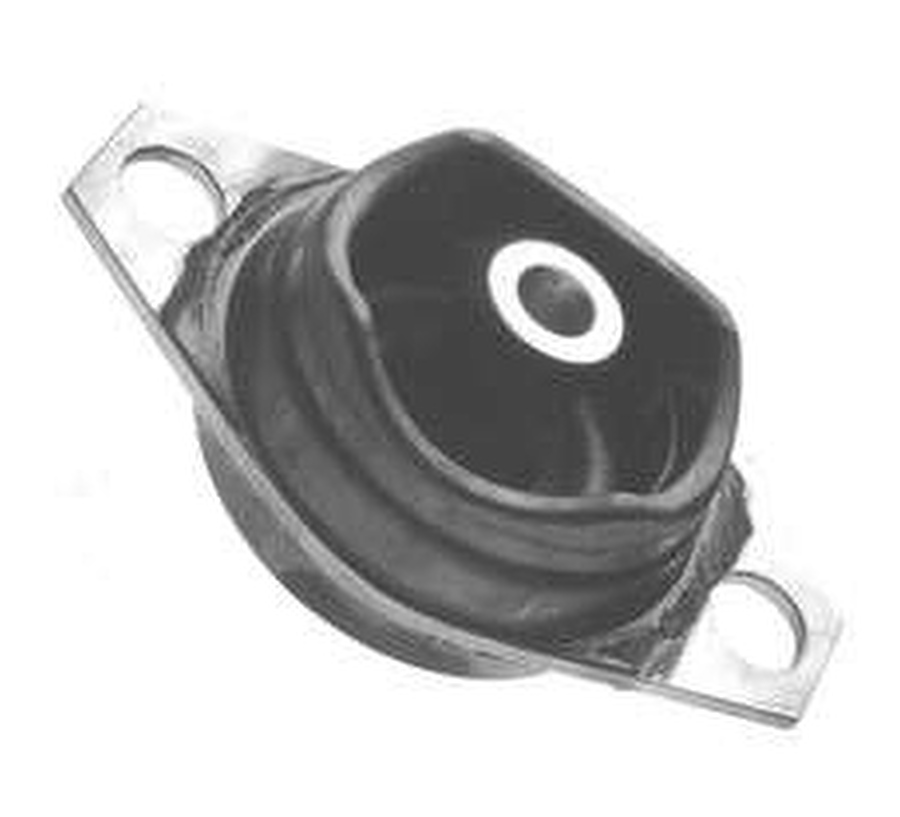 Coxim do Diferencial - Monroe Axios - 0625 - Kit