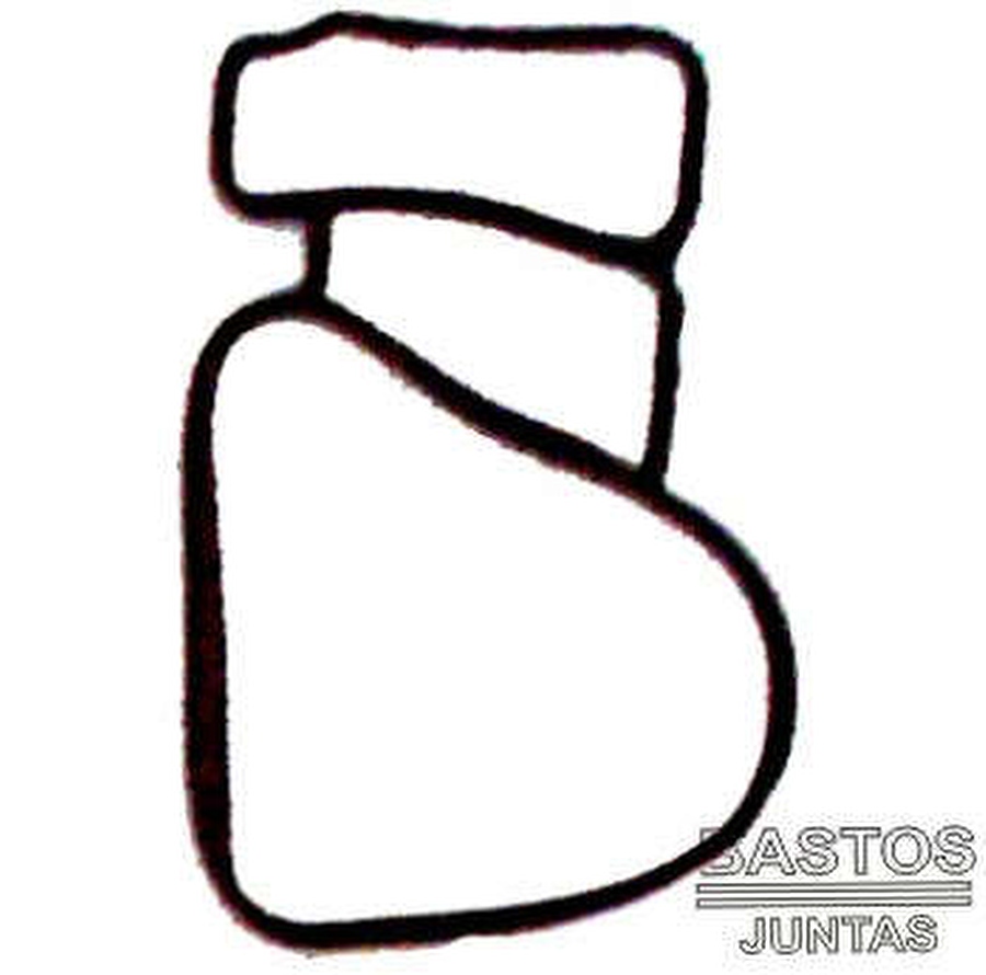 Junta da Valvula Termostatica - Bastos Juntas - 134245 - Unitário