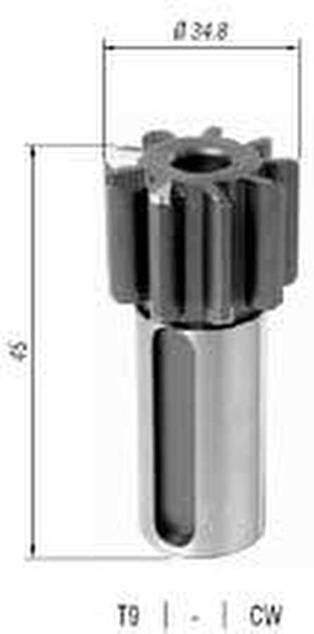 Pinhão - Zen - 1111 - Unitário