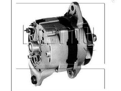 Alternador - Delco Remy - 19010111 - Unitário