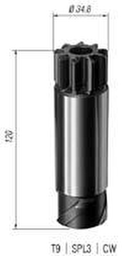 Pinhão - Zen - 0035 - Unitário