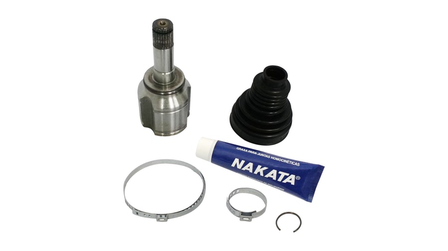 Tulipa - Nakata - NJH12-262D - Unitário