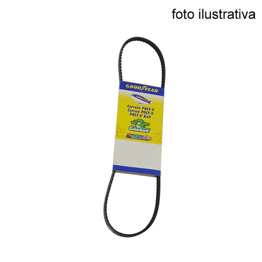 Correia Poly-V Alternador/Virabrequim/Bomba d'Água - Goodyear - 4PK0975 - Unitário