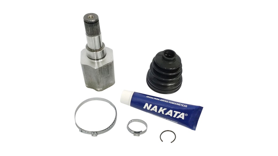 Tulipa - Nakata - NJH12-259D - Unitário