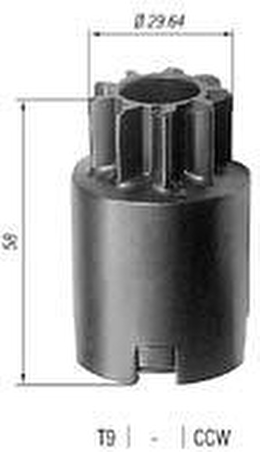 Pinhão - Zen - 0170 - Unitário