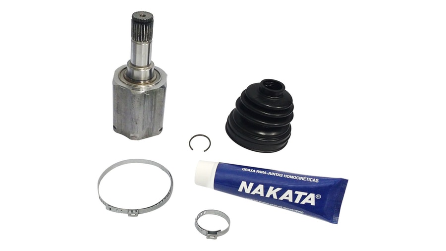 Tulipa - Nakata - NJH19-246D - Unitário