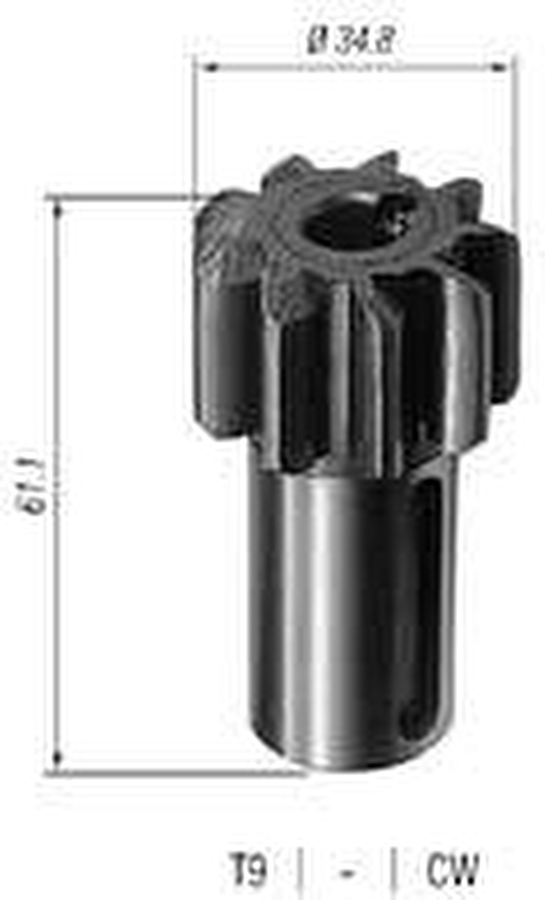 Pinhão - Zen - 0218 - Unitário