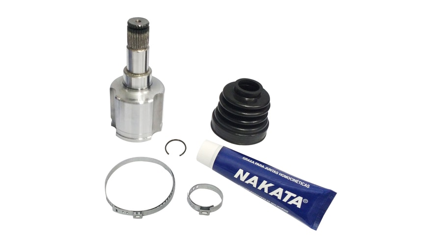 Tulipa - Nakata - NJH09-204D - Unitário