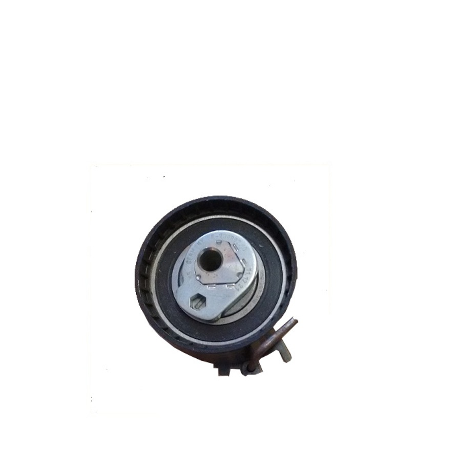 Polia Reguladora de Tensão - Original Nissan - 1307000Q0N - Unitário