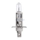 alt: Miniatura imagem do produto Lâmpada H1 55W 12V Automotiva - Gauss - GL01 H1 - Unitário