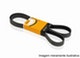 alt: Miniatura imagem do produto Correia de Acessórios Multi V - Continental Contitech - 6PK1495RNH - Unitário